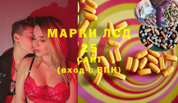 метадон Богданович